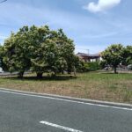古川町A区画 大規模既存集落